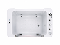Baignoire Spa Bébé Luxe Moderne avec Massage à Bulles en Acier Inoxydable, Installation Autoportante