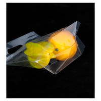 Sachet debout anti-buée pour sushi, fruits frais, légumes, emballage transparent avec fermeture éclair, utilisable au micro-ondes