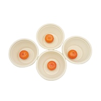 Gobelet en papier PLA, 10 pièces, biodégradables, à usage unique, écologique