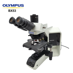 Infinity Optisch Systeem Olympus Multifunctionele Binoculaire Olympus Bx53 Semi-Gemotoriseerde Fluorescentiemicroscoop Voor Laboratoria - Product Image 2