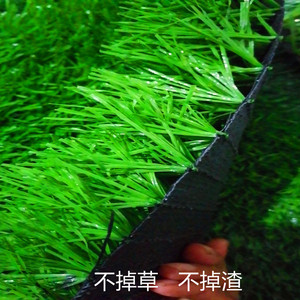 Gazon artificiel pour terrains de sport, largeur 2,0 m, durable, usage extérieur - Product Image 3