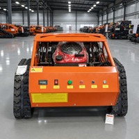 Tondeuse à pente sur chenilles télécommandée, compacte, certifiée CE EPA, débroussailleuse chinoise OEM personnalisée pour ferme et jardin, directement de l'usine