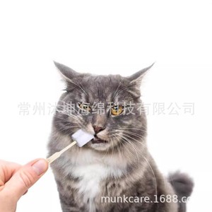 Cepillo interdental de esponja suave Munkcare, tamaño corto, para el cuidado bucal de mascotas, gatos y perros - Product Image 4