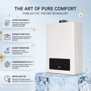 Calentador de Agua Instantáneo a <span class=keywords><strong>Gas</strong></span> LPG de 12L, Económico, para África, Medio Oriente y Sudamérica, Calentamiento Rápido, Montaje en Pared, con Descuento - Product Image 3