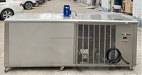 Panneau solaire transparent à refroidissement direct Bloc de briques de glace utilisé de 2 tonnes Prix de la machine en Allemagne avec le Nigeria