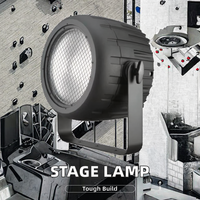 BOTAI 250W COB LED PAR Lumière Blanc Chaud Conception De Matrice Dorée Mobile RGBW Laser Lumières DMX512 Contrôle pour Sortie Lisse pour DJ
