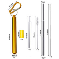 Pailles à boire réutilisables pliables en acier inoxydable arc-en-ciel, télescopiques, en métal, avec étui en aluminium, accessoires de bar écologiques