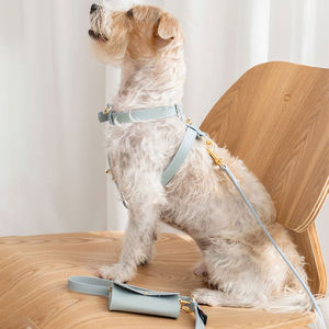 제조 업체 사용자 정의 내구성 비건 애완 동물 Pu 세트 개 가죽 스타 리벳 칼라 핸즈프리 가죽 끈 똥 가방 홀더 금속 후크 - Product Image 3