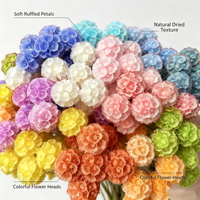Groothandel Gedroogde Natuurlijke Bloemen Windmolen Fruit Bloemstukken Tafelkleed Bloemdecoratie DIY Materialen Bruidsbloemen
