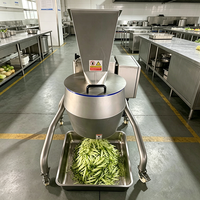 Hoge snelheid centrifugale groentesnijmachine ui-tomaat snijder versnipperaar industriële voedselverwerkingsapparatuur