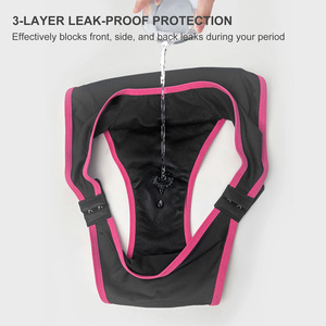 Ropa Interior Menstrual con Cierre de Gancho Lateral Ajustable Personalizada OEM, Cintura Baja, Transpirable, Reutilizable, a Prueba de Fugas, para Mujeres - Product Image 3