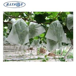 Nonwoven Polypropylene Fabric Protective Nonwoven Fabric White Polypropylene Banana Fiber Bag
