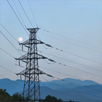 Tour électrique en acier de haute qualité personnalisée 110KV Tour de ligne électrique galvanisée