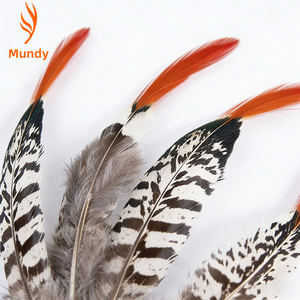 Plumes de poulet sauvage naturelles en gros, plumes de coq dorées, plumes de coq rouges, plumes de coq cuivrées, plumes à pointe rouge, ornements et décorations faits à la main - Product Image 2