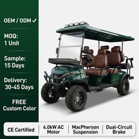Carrito de Golf Eléctrico de 6 Plazas, Homologado para Circular por la Calle, con Motor de CA de 4.0kW, Batería de Litio de 72V 120ah, para Campos de Golf