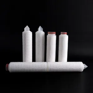 0.22 0.45 Micron Pes Ptfe Filter Cartridge 10 Inch Pleated Filter Cartridge For Water Filter