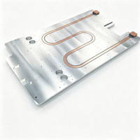 Plaque de refroidissement liquide en aluminium sur mesure pour la dissipation thermique industrielle