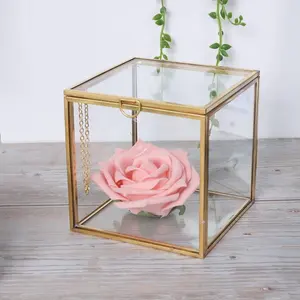 mousse terrarium en direct Suppliers-Dispositif terrarium en verre transparent, vase de verre géométrique pour la mousse des plantes
