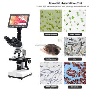 WEIAI-Microscopio Trinocular Digital con Pantalla HD de 7 ", Microscopio Biológico de Laboratorio Médico Escolar con Luz LED 1600X - Product Image 3