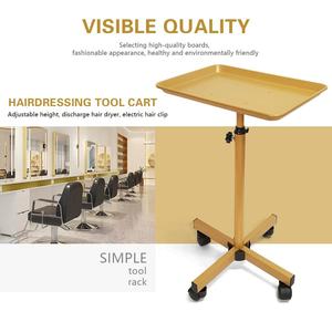 Hair Salon <b>Tool</b> Cart Aluminum Alloy High-end Multi-functional Mobile Beauty Cart with Storage Rack - Product Image 2