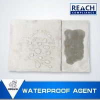 Scellant pour béton transparent, imperméable, résistant aux taches, anti-humidité et anti-moisissure pour sols, murs, carreaux et mortier d'intérieur WH6982
