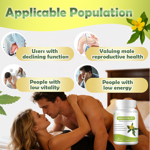 OEM Özel Etiketli <span class=keywords><strong>Damiana</strong></span> Yaprağı İstiridye Gücü L-arginin Kapsülleri Yetişkin Erkek Takviyesi Testosteron ve Doğurganlık İçin - Product Image 5