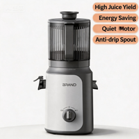350W DC Elektrische Slow Cold Press Heavy Duty RVS Sapcentrifuge Multifunctionele Smoothie Maker 2.5L Vulopening Zelfreinigend Spaans