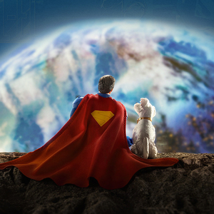 Blokees DC Superman con Krypto, Modelos Originales para Armar, Bloques de Construcción, Caja Sorpresa, Edición Superman 2025 - Product Image 6