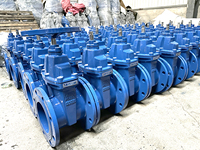BS5163 DIN3202 3352 F4/F5 NRS Vanne à vanne à bride de siège à cale résiliente Fonte ductile Catégorie de produit Vannes à vanne