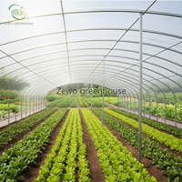 Systèmes de culture hydroponique agricole pour légumes et tomates, grande serre familiale à simple travée en film PE transparent