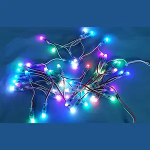 5V 12V wasserdichte Weihnachts baum dekoration LED 12mm Ws2811 Ic adressierbar Voll farbe 50 Knoten/String dmx LED Pixel Licht