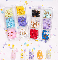 Vente en gros, 6 grilles, boîte d'emballage d'ongles 3d résine fleur Design Nail Art charmes décoration fleurs pour ongles