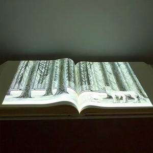 Ảo E-book chiếu nhiều phương tiện hiển thị tương tác máy chiếu cử chỉ tương tác hệ thống được xây dựng trong loa Bảo tàng - Product Image 2