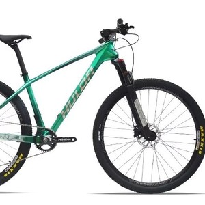 Diseño moderno de fibra de carbono MTB | <span class=keywords><strong>PREDATOR</strong></span> 27,5/29 pulgadas | Eje pasante | Freno de disco de 12 velocidades | OEM/proveedor mayorista - Product Image 1