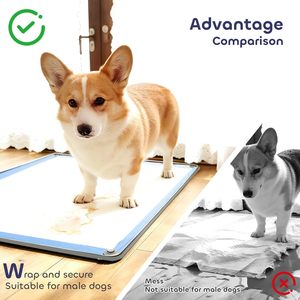 Support réutilisable pour tapis de propreté pour chiens en silicone avec rebord surélevé antidérapant pour l'apprentissage de la propreté des chiots - Product Image 2