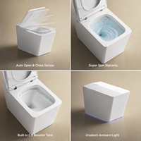 Nouveau style de sanitaires : WC intelligent à nettoyage automatique, cuvette de bidet intelligente, toilettes carrées connectées