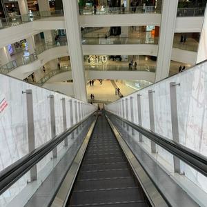 Venta Directa de Fábrica, Nueva Escalera Mecánica Industrial, Escalera Mecánica Comercial para Centros Comerciales con Ahorro de Energía y Operación Inteligente, Marca Otis - Product Image 6