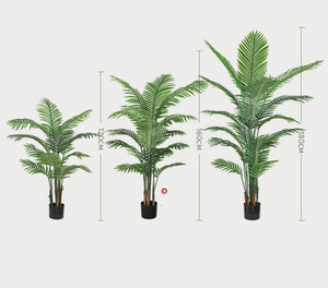 Plantas Decorativas de Interior al por Mayor, Plantas Artificiales <span class=keywords><strong>Verdes</strong></span>, Ficus, Árbol de <span class=keywords><strong>Coco</strong></span> Artificial Personalizable para Exteriores - Product Image 3