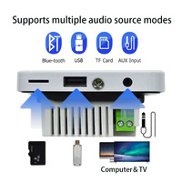 Bluetooth arka plan müzik ana bilgisayar için müzik amplifikatör 86 kutu İngilizce ev amplifikatör Bluetooth amplifikatör için duvar ile