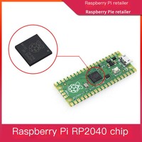 Microcontrôleur ARM double cœur Raspberry Pi RP2040