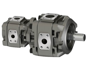 Pompe à huile double HG11 à bon prix avec engrenage interne et fonction d'économie d'énergie - Product Image 5