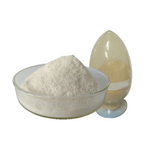 Capsules de chitosan à base de champignons Supplément alimentaire Booster avec agent auxiliaire chimique Avantages - Product Image 4