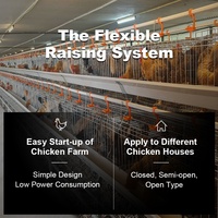 Équipement d'élevage avicole : Cage à poules pondeuses de type A, 3/4 niveaux, 96/120/128/160 poules, cages en batterie pour poulaillers