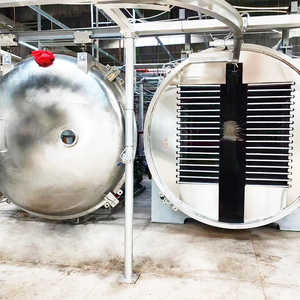 Commerciale piccolo liofilizzatore caramella frutta cibo essiccazione liofilizzatore macchina prezzo per uso domestico con pompa a vuoto - Product Image 2