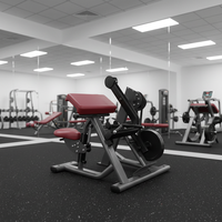 Biceps Curl Commercial Arm Curl Banc Prédicateur Curl Banc de gymnastique Biceps Formation Plaque assise Chargé Biceps Curl Preacher Machine
