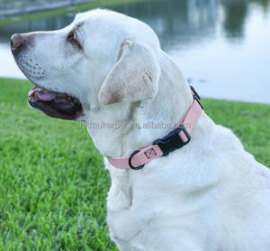 Collar antideslizante de PVC para perro, cadena Martingale, asegurando que el collar permanezca en su lugar y evitando que su perro se salga de él - Product Image 3