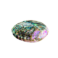 Pendentifs en coquille d'ormeau naturel perle mère simple face accessoires de fabrication de bijoux à bricoler soi-même perles en vrac de corail pour cadeaux