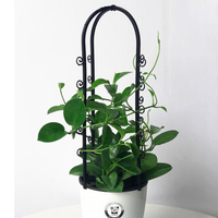 Étagère de jardin pour fruits et légumes, arc d'escalade, en métal, treillis de fleurs, facile à vendre, produits de jardinage