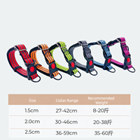 Collier moderne rayé en nylon pour chiens et chats - Durable, réglable, à dégagement rapide, léger, respirant, avec fil réfléchissant