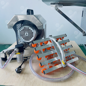 Bomba <span class=keywords><strong>de</strong></span> vacío Vaccume Máquina <span class=keywords><strong>de</strong></span> succión <span class=keywords><strong>de</strong></span> huevos Elevadores Vaccumm con el mejor precio - Product Image 5